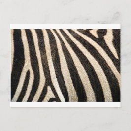 Zebra-Muster Postkarte
