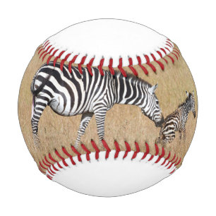 Zebra nach Geburt Baseball