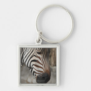 Zebra, Nahaufnahme Schlüsselanhänger