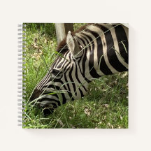Zebra-Notebook
