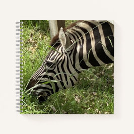 Zebra-Notebook Notizbuch