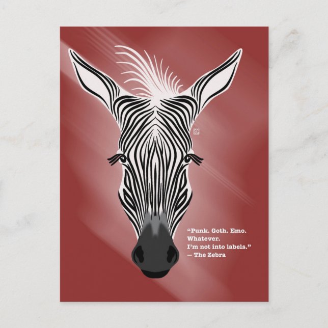 Zebra ohne Labels Postkarten (Vorderseite)