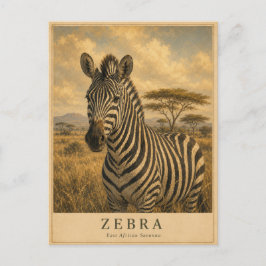 Zebra ostafrikanische Savanne VINTAGE Postkarte