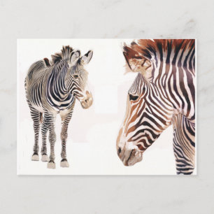 "Zebra Pair" Wasserfarbenwelt Kunst, Dichtung und  Postkarte