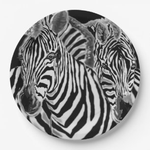 Zebra Paper Teller