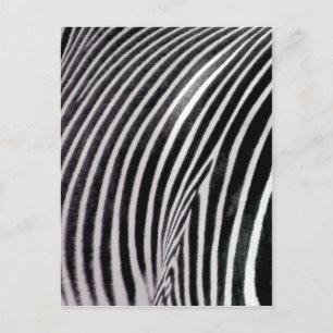 Zebra Pattern Liebe_ Postkarte
