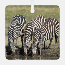 Zebra Personalize Name Foto Christmas Ornament Aus Metall