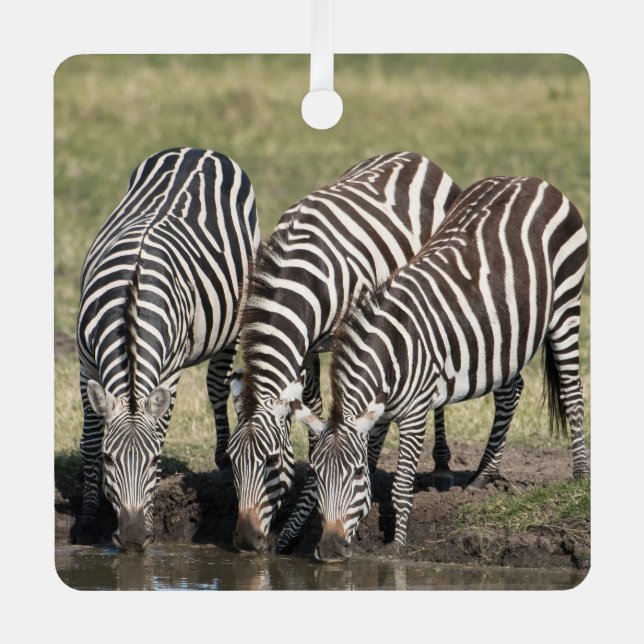 Zebra Personalize Name Foto Christmas Ornament Aus Metall (Vorderseite)