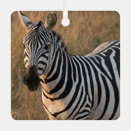 Zebra Personalize Name Foto Christmas Ornament Aus Metall