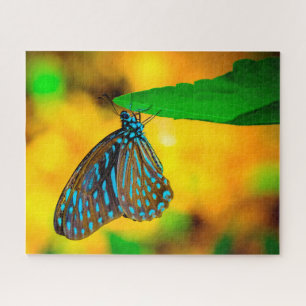 Zebra-Polka-Punkt-Schmetterling.