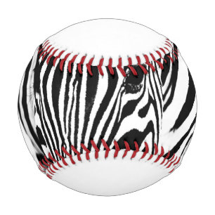 Zebra-Portrait schwarz-weiß Baseball