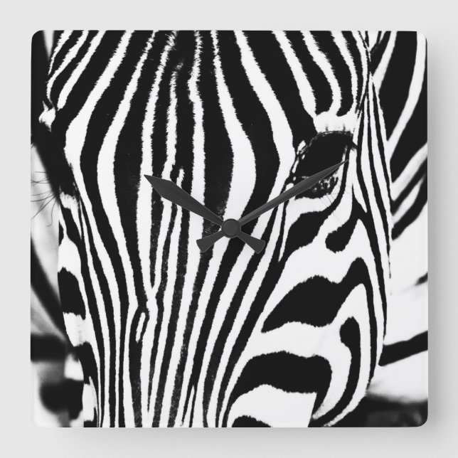 Zebra-Portrait schwarz-weiß Quadratische Wanduhr (Vorderseite)