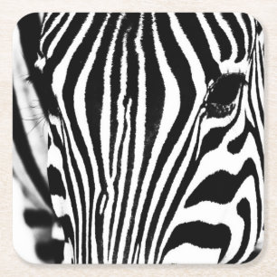 Zebra-Portrait schwarz-weiß Rechteckiger Pappuntersetzer