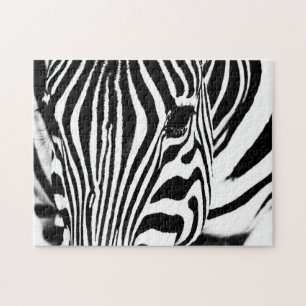 Zebra portrait Schwarzweiß-Foto