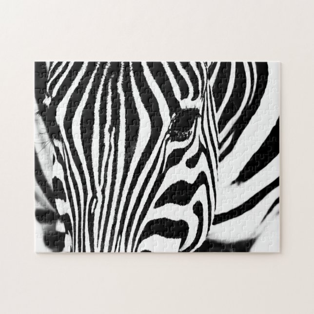 Zebra portrait Schwarzweiß-Foto (Horizontal)