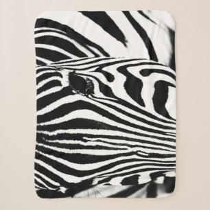 Zebra portrait Schwarzweiß-Foto Sherpadecke