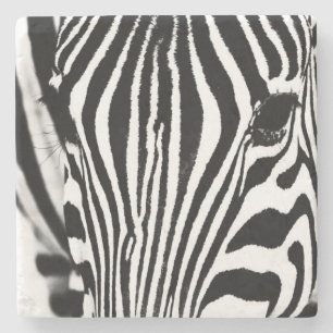 Zebra portrait Schwarzweiß-Foto Steinuntersetzer