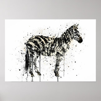 Zebra Poster