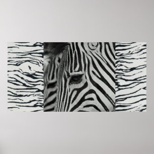 Zebra Poster Artwork Mural murale