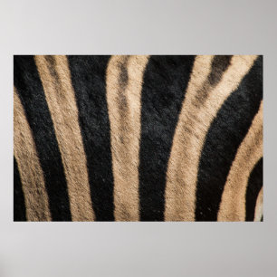 ZEBRA POSTER DE ANIMAL STRIPE