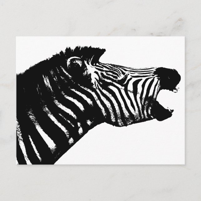 Zebra Postkarte (Vorderseite)