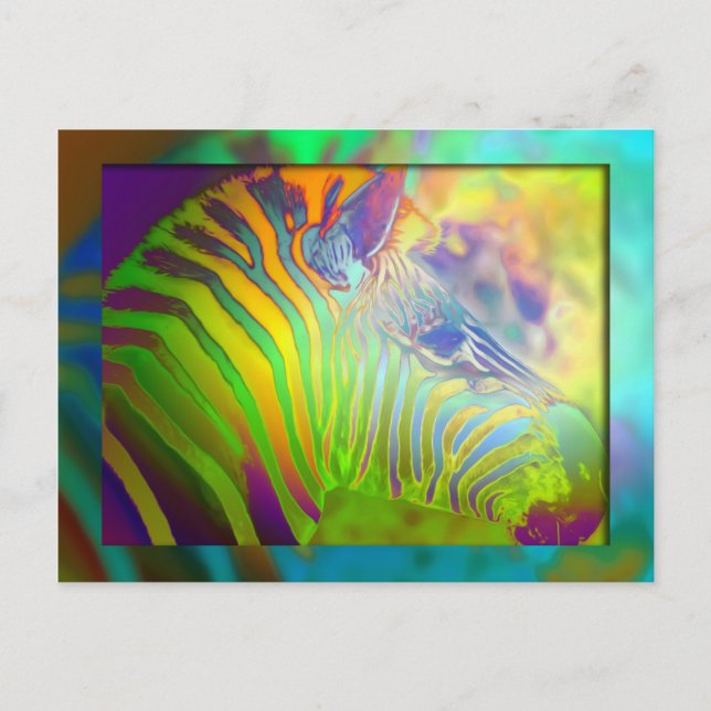 Zebra Postkarte (Vorderseite)
