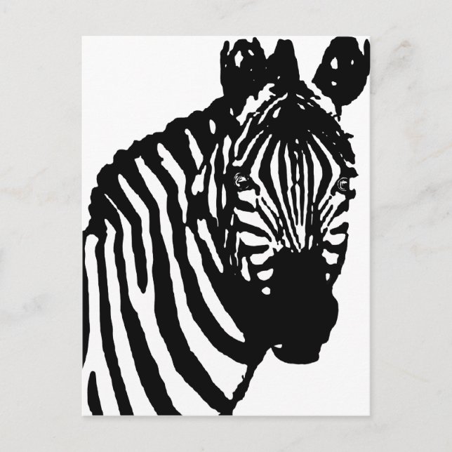 Zebra. Postkarte (Vorderseite)
