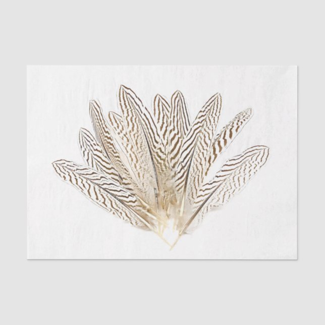 Zebra Print Feathers #2 Seidenpapier (Vorderseite)