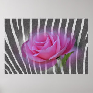 Zebra Print Rose Poster