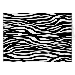 Zebra Print, Zebra Stripes, Noir Et Blanc