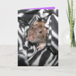 Zebra rat Geburtstagskarte Karte