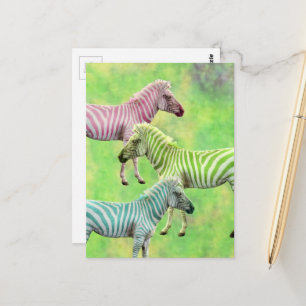 Zebra Rosa Blau Grün Postkarte