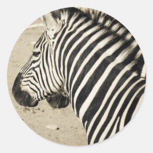 Zebra Runder Aufkleber