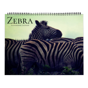 Zebra Safari 2025 groß Kalender
