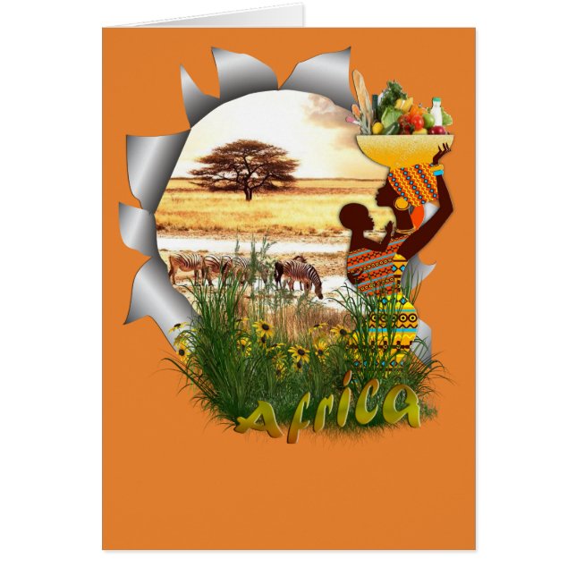 Zebra-Safari in Afrika (Vorne)