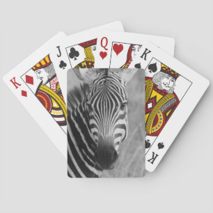 Zebra-Safari-niedliche afrikanische noble Streifen Spielkarten