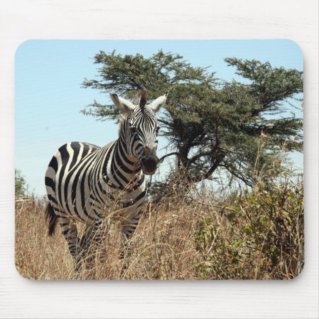 zebra scene mousepad (Vorne)