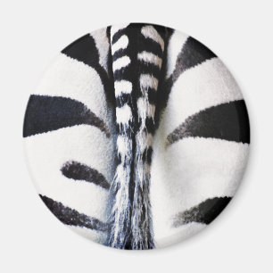 Zebra-Schwanz-Schwarzes u. Weiß Magnet