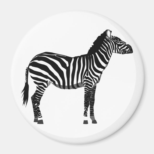 Zebra - Schwarz und Weiß Magnet (Vorne)