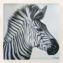 Zebra Schwarz-Weiß-Porträt