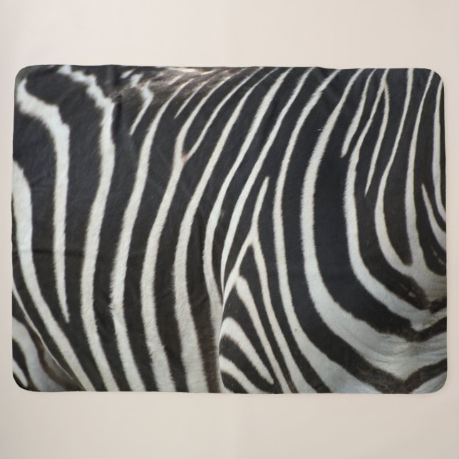 Zebra Sherpadecke (Vorderseite (Horizontal))