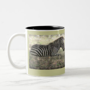 ZEBRA SITZEN AM BODEN /FOTOG/ DIG.MANIP ZWEIFARBIGE TASSE