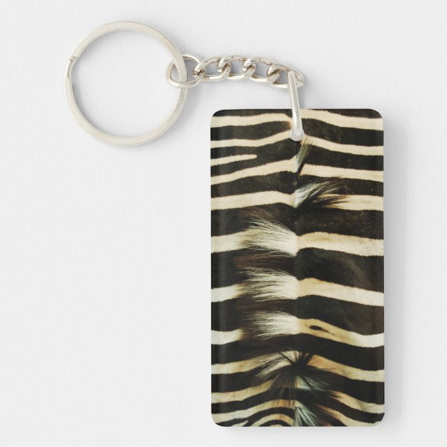 Zebra Skin (Devant)