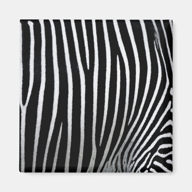 Zebra Skin Magnet (Vorne)
