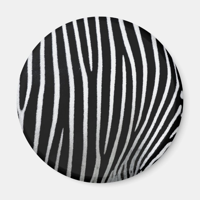 Zebra Skin Magnet (Vorne)