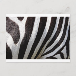 Zebra Skin Print Postkarte