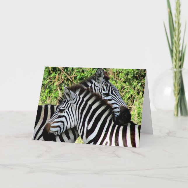 Zebra Snuggles Karte (Vorderseite)