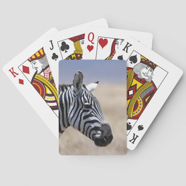 Zebra Spielkarten (Rückseite)