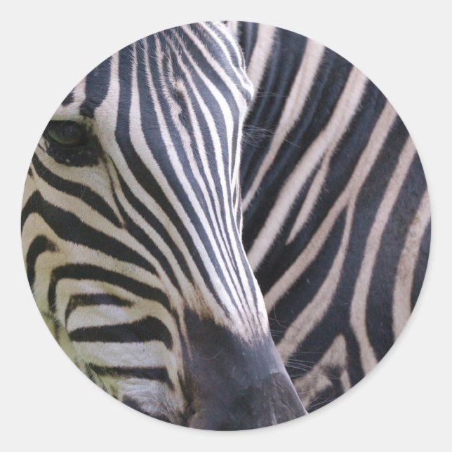 Zebra Sticker (Vorderseite)