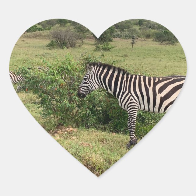 Zebra Sticker (Vorderseite)